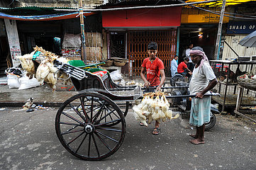 Kalkutta  Indien  Ein Mann laedt lebendige Huehner auf eine von Hand gezogene Rikscha