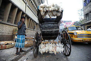 Kalkutta  Indien  Ein Rikschalaeufer transportiert lebendige Huehner mit seiner Rikscha
