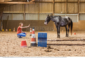 Equitherapy
