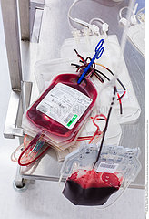 Blood donor processing