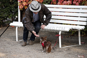 Hoppegarten  Brandenburg  Mann auf einer Parkbank lockt einen kleinen Hund zu sich