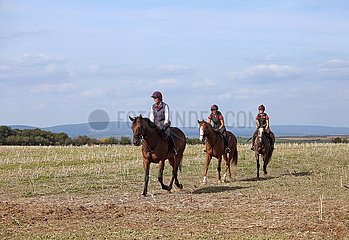 Gestuet Westerberg  Frau und Maedchen reiten auf ihren Pferden ueber ein Stoppelfeld