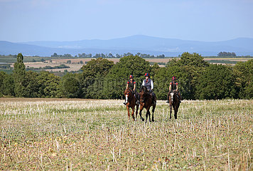 Gestuet Westerberg  Frau und Maedchen reiten auf ihren Pferden ueber ein Stoppelfeld