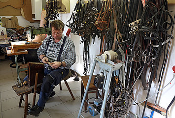Gestuet Graditz  Pferdewirt repariert in der Sattelkammer ein Lederhalfter