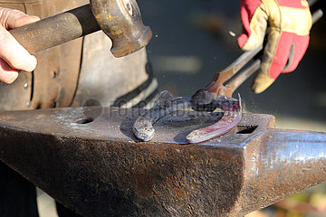Muenchehofe  erhitztes Hufeisen wird auf einem Amboss bearbeitet