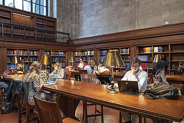 New York Publik Library