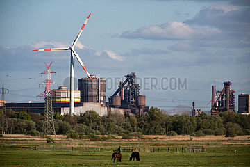 Deutschland  Bremen - ArcelorMittal-Stahlwerk  Windrad  Strommast und Pferde auf der Weide