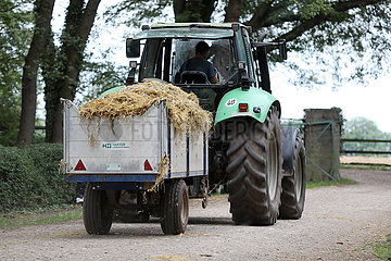 Gestuet Westerberg  Traktor zieht einen Anhaenger mit Pferdemist