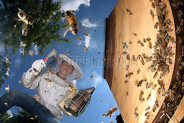 Neuenhagen  Deutschland  Nachwuchsimker bei der Arbeit an seinem Bienenvolk
