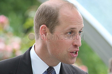 Royal Ascot  Grossbritannien  HRH Prince William  Duke of Cambridge