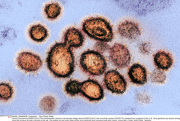 Novel Coronavirus SARS-CoV-2