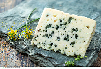 French blue cheese Roquefort