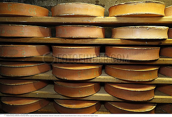 Artisanal Beaufort cheese in refining in a traditional cellar