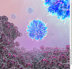 tumor cells antigens