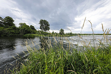 Lippe  renaturieres Flussauengebiet oberhalb der Lippemuendung in den Rhein  Wesel  Niederrhein  Nordrhein-Westfalen  Deutschland