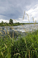 Lippe  renaturieres Flussauengebiet oberhalb der Lippemuendung in den Rhein  Wesel  Niederrhein  Nordrhein-Westfalen  Deutschland