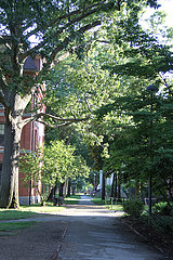 U.S.-CAMBRIDGE-Harvard University-RULE ON INT'L STUDENTS-RÜCKTRITT U.S.-CAMBRIDGE-Harvard University-RULE ON INT'L STUDENTS-RÜCKTRITT