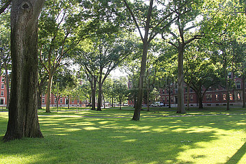 US-CAMBRIDGE--Universität Harvard-REGEL AUF INT'L STUDENTEN-RÜCKTRITT