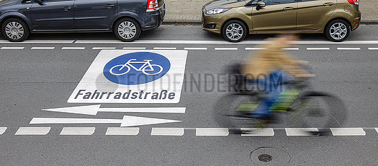 Fahrradfahrer fahren auf neuer Fahrradstrasse mit frisch aufgebrachten Piktogrammen  Essen  Nordrhein-Westfalen  Deutschland