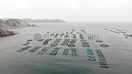 CHINA-SHANDONG-YANTAI-Aquafarm-Marine Ecology (CN)