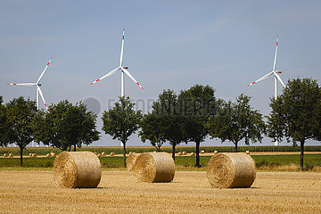 Strohballen liegen nach Getreideernte auf Stoppelfeld  Linnich  Nordrhein-Westfalen  Deutschland  Europa