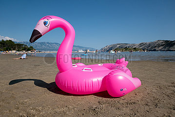 Kroatien  Rab  San Marino - pinker  aufblasbarer Schwan aus Gummi am Paradise Beach