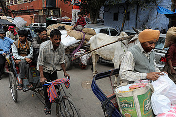 Delhi  Indien  Geschaeftiges Treiben und Menschenmassen auf einer Strasse im Zentrum
