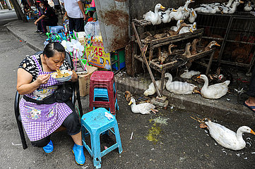 Chongqing  China  Chinesische Gefluegelmetzgerin isst eine Nudelsuppe vor einem Geschaeft