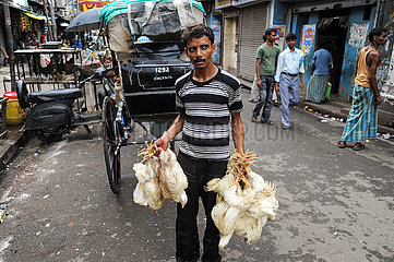 Kolkata (Kalkutta)  Indien  Ein Mann traegt lebendige Huehner auf einem Strassenmarkt