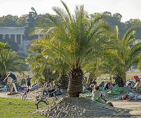 Palmengarten auf der Theresienwiese  Aktion Sommer in der Stadt  Muenchen  September 2020