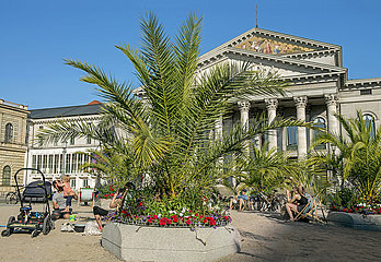 Palmengarten auf dem Max-Joseph-Platz vor der Oper  Aktion Sommer in der Stadt  Muenchen  September 2020