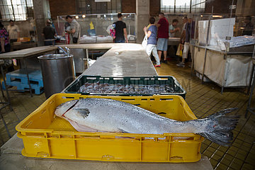 Kroatien  Rijeka - Fisch in Plastikkiste  Fischmarkthalle am Hafen