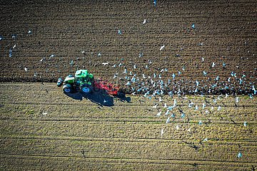 Drohnenaufnahme Bauer beim Pfluegen eines Ackers