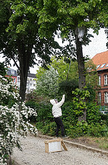 Berlin  Deutschland  Imker faengt in einer Parkanlage einen Bienenschwarm von einem Lindenbaum ein