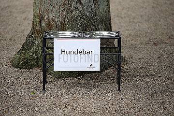 Hoppegarten  Deutschland  Trinknaepfe fuer Hunde an einem Baum