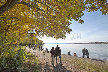 Herbsttag am Starnberger See  Percha  Bayern  Oktober 2020
