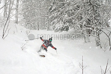 Krippenbrunn  Oesterreich  Skifahrer faehrt im Tiefschnee
