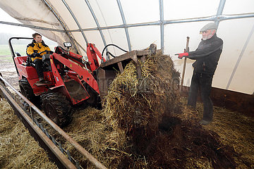 Neu Kaetwin  Deutschland  Landwirt leitet seinen Praktikanten beim Ausmisten des Schafstalles an