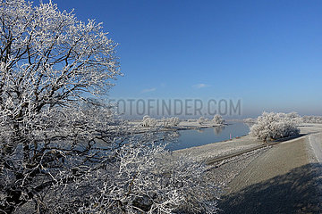 Graditz  Deutschland  Winterlandschaft am Ufer der Elbe