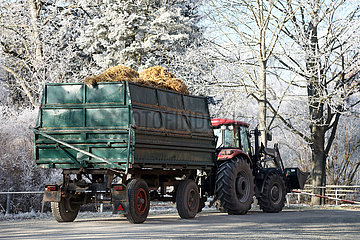 Gestuet Graditz  Mist wird im Winter mit einem Traktor abgeholt