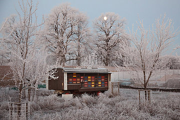 Graditz  Deutschland  Bienenwagen steht im Winter bei Frost auf einer Wiese
