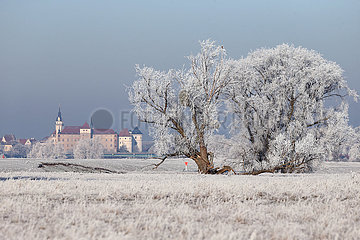 Graditz  Deutschland  Blick auf Schloss Hartenfels im Winter