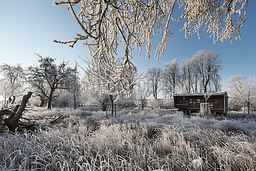 Graditz  Deutschland  Bienenwagen steht im Winter bei Frost auf einer Wiese