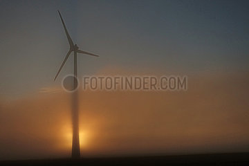 Neu Heinde  Deutschland  Windkraftanlage im Nebel bei Sonnenaufgang