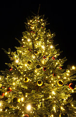 Berlin  Deutschland  festlich geschmueckter Weihnachtsbaum leuchtet in der Nacht