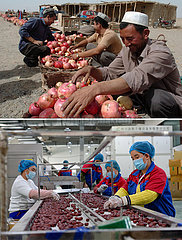 (POVERTY RELIEF ALBUM) CHINA-XINJIANG-ABSOLUTE POVERTY-ELIMINATION (CN)