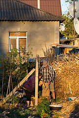 Republik Moldau  Curchi - Maisernte auf einem kleinen Gehoeft