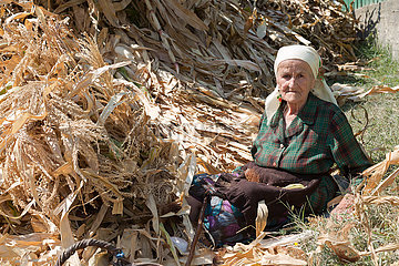 Republik Moldau  Radenii Vechi - Portrait einer alten Baeuerin waehrend der Maisernte auf einem kleinen Gehoeft