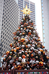 Hong Kong  China  Weihnachtsbaum in der Stadt