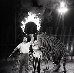 Berlin  Deutsche Demokratische Republik  Schauspielerin Christine Laszar und Rudolf Born bei der Probe zur Tigerdressur fuer die Nacht der Prominenten im Zirkus Olympia